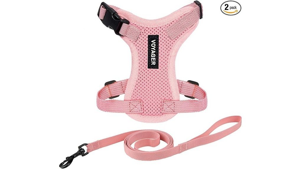 escape proof cat harness set
