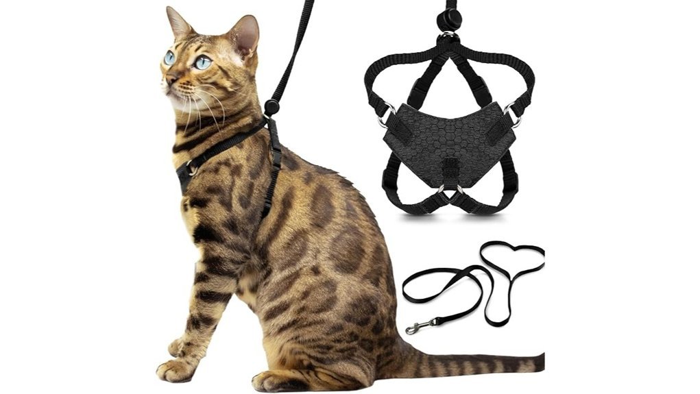 escape proof cat harness set