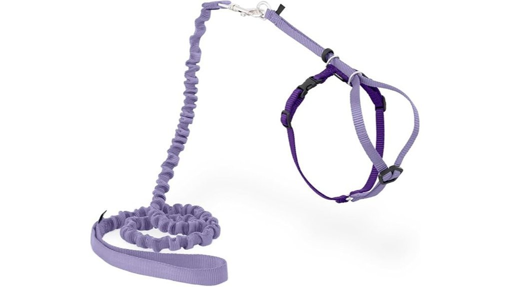 kitty harness and leash