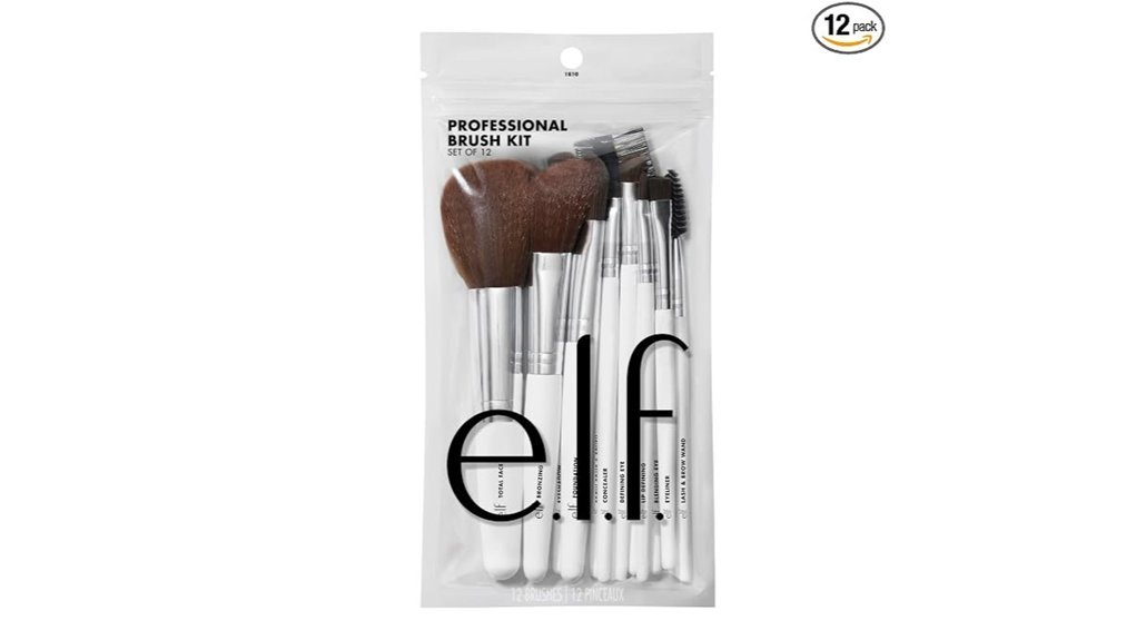 professional 12 brush set