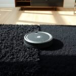 robot vacuums and rugs